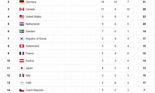 平昌冬奥会奖牌榜排名第一的是_冬奥会奖牌榜排名平昌